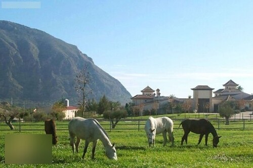 Bild 1 - Hacienda Hotel Reitimmobilie Costa Blanca Alicante zu verkaufen