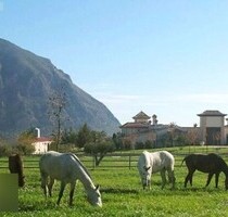 Hacienda Hotel Reitimmobilie Costa Blanca Alicante zu verkaufen
