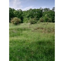 1100 ha Laubwald - 5.400.000,00 EUR Kaufpreis, ca. 1.100.000,00 m² in Pescari (PLZ: 317153)