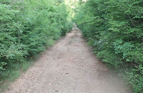 Bild 1 - Erschlossenes Baugrundstück ab 2000m2 Strand 4km