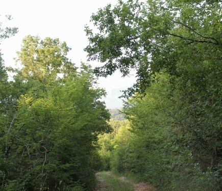 Bild 2 - Grundstück zum Kaufen in Kreis BAR