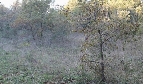 Bild 4 - Grundstück in Kreis BAR zum Kaufen