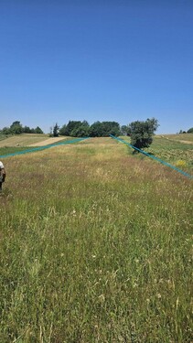 Bild 4 - Einfamilienhaus mit 80,00 m&sup2; in Zece Hotare zum Kaufen