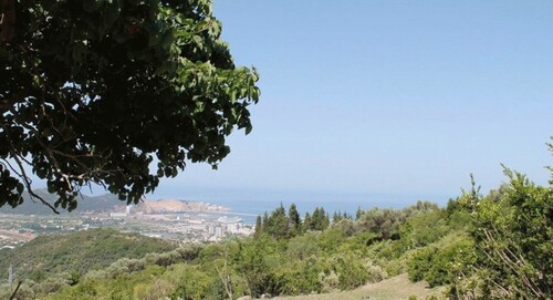 Bild 2 - 4 Zimmer Einfamilienhaus zum Kaufen in Kreis BAR