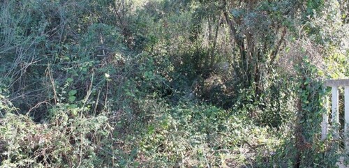 Bild 4 - Grundstück in Bar-Utjeha zum Kaufen