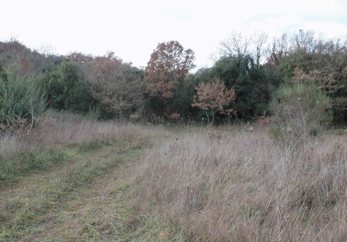 Bild 3 - Grundstück in Kreis Bar