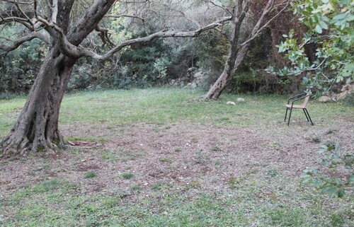 Bild 1 - Baugrundstück 13000m2 mit Meerblick