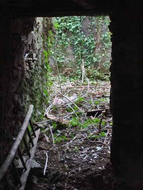 Bild 4 - Grundstück in Pedrógão Grande zum Kaufen