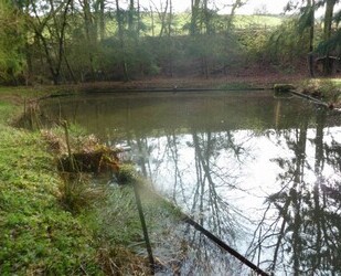 Teichanwesen mitten im Wald Südwestpfalz - Biedershausen