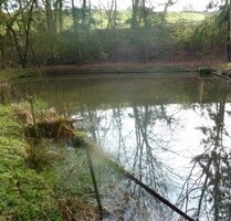 Teichanwesen mitten im Wald Südwestpfalz - Biedershausen