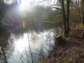 Bild 2 - Grundstück zum Kaufen in Biedershausen