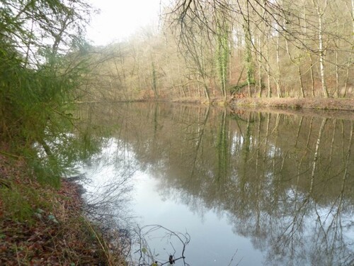 Bild 3 - Grundstück in Biedershausen