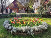Bild 4 - Einfamilienhaus mit 3.064,00 m² in nahe Heviz zum Kaufen