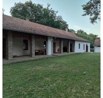 Reiterhof mit 14 Boxen in Süd-Ungarn mit 4 ha Land - Kunfehértó