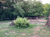 Bild 3 - 6 Zimmer Einfamilienhaus in Kunfehértó