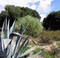 Schönes Grundstück in Strandnähe Andalusien - Zahora