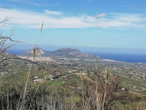 Bild 1 - Olivenhain mit Meerblick auf Sizilien