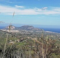 Olivenhain mit Meerblick auf Sizilien - Casteldaccia