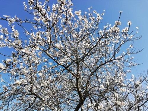 Bild 5 - 