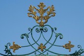 Bild 1 - Herrenhaus 800m und 7 Nebengebäude Solide Bausubstanz