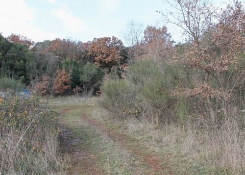 Bild 1 - Grundstück am Meer - 838.500,00 EUR Kaufpreis, ca.  12.900,00 m²