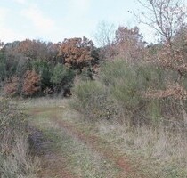 Grundstück am Meer - 838.500,00 EUR Kaufpreis, ca.  12.900,00 m² in Kreis Bar (PLZ: 85000)