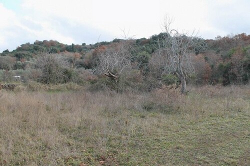 Bild 2 - Grundstück zum Kaufen in Kreis Bar