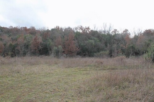 Bild 3 - Grundstück in Kreis Bar