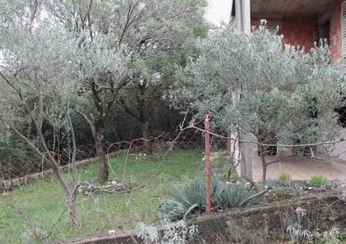 Bild 2 - 4 Zimmer Einfamilienhaus zum Kaufen in Kreis Bar