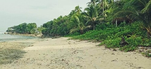 Bild 4 - Grundstück in Siargao zum Kaufen