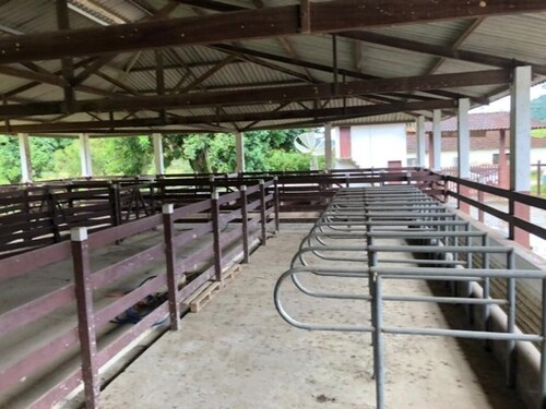 Bild 3 - 7 Zimmer Einfamilienhaus in Silva Jardim