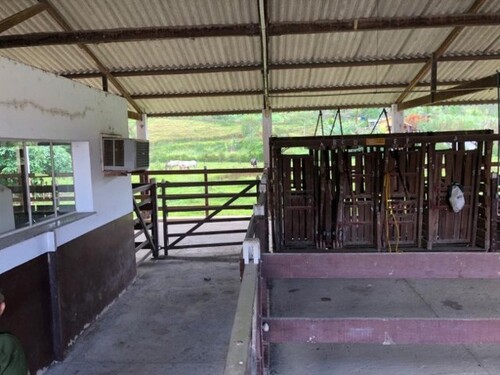 Bild 4 - Einfamilienhaus mit 450,00 m&sup2; in Silva Jardim zum Kaufen