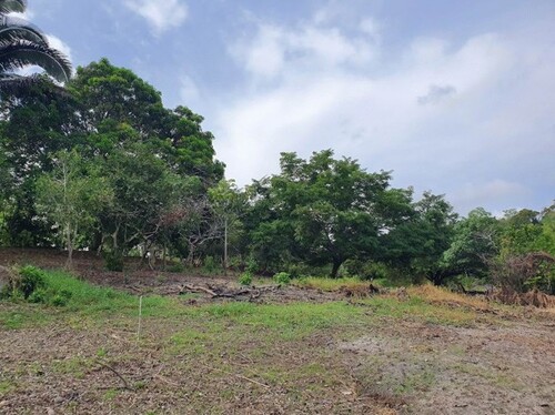 Bild 1 - 500 Hektar Wald - 19.990,00&nbsp;EUR Kaufpreis, ca.&nbsp;5.000.000,00&nbsp;m&sup2;