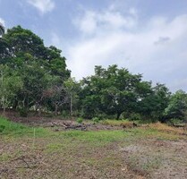 500 Hektar Wald - 19.990,00 EUR Kaufpreis, ca. 5.000.000,00 m² in tefe (PLZ: 69470000)