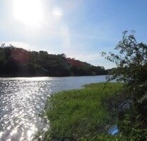 1000 Hektar Wald - 29.900,00 EUR Kaufpreis, ca. 9.999.999,00 m² in Tefe (PLZ: 69475000)