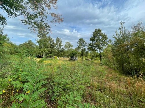 Bild 4 - Grundstück in Kran zum Kaufen