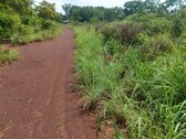 Bild 1 - Brasilien riesengrosses 1000 Ha Tiefpreisgrundstück