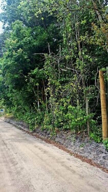 Bild 2 - Grundstück zum Kaufen in Trancoso