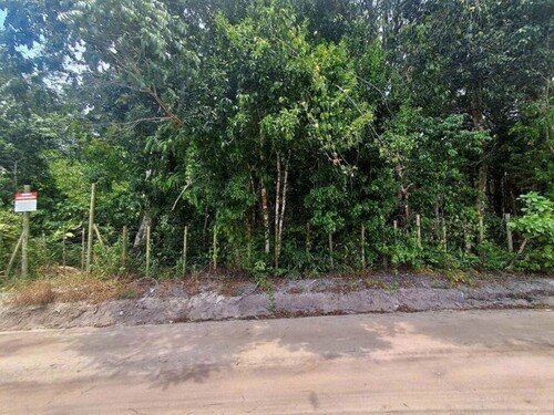 Bild 4 - Grundstück in Trancoso zum Kaufen
