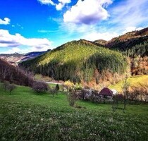 Grundstück und 2 traditionelle Häuser und Glampingbetrieb - Bucium