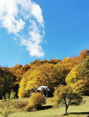 Bild 2 - 7 Zimmer Einfamilienhaus zum Kaufen in Bucium