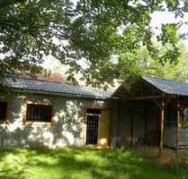 Süd-Ungarn renovierungsbedürftiges Bauernhaus - Csólyospálos