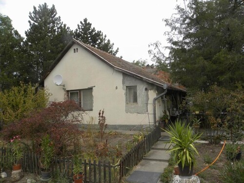 Bild 1 - In Ungarn 100 m2 Bauernhaus mit 5 ha Land