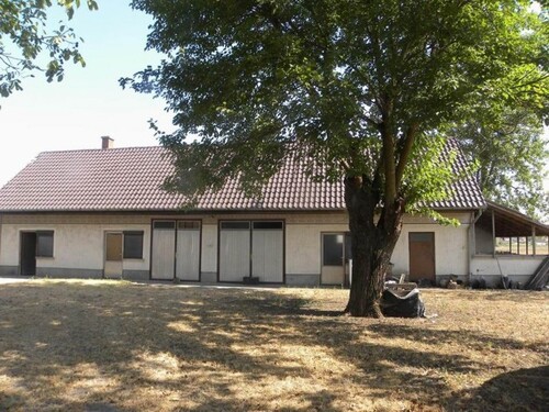 Bild 1 - In Ungarn 150m2 Bauernhaus mit 2ha Land