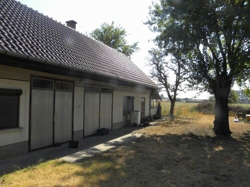 Bild 2 - 4 Zimmer Einfamilienhaus zum Kaufen in Csengele