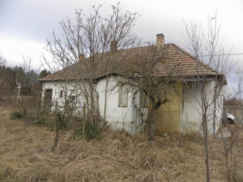 Bild 2 - 1 Zimmer Einfamilienhaus zum Kaufen in Bácsalmás