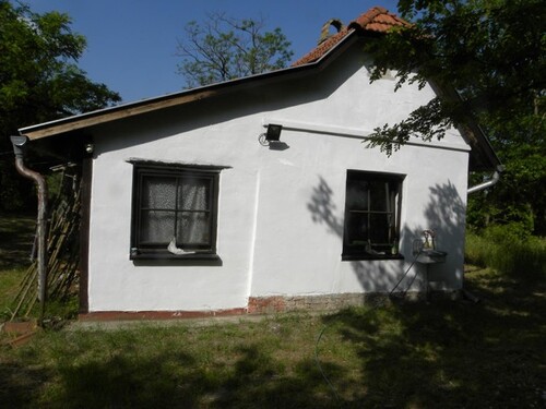 Bild 1 - In Ungarn 90 m2 Bauernhaus mit 5754 m2 Grundstück