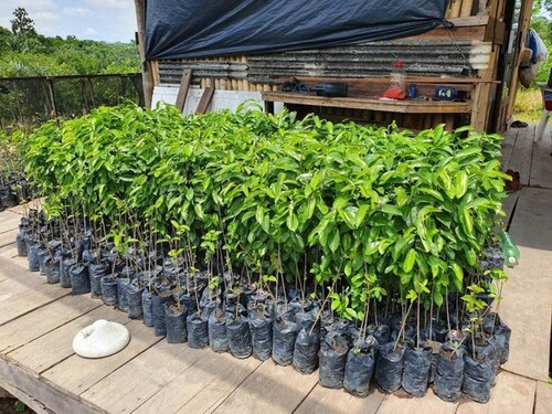 Bild 2 - 5 Zimmer Einfamilienhaus zum Kaufen in Rio Preta doa Eva