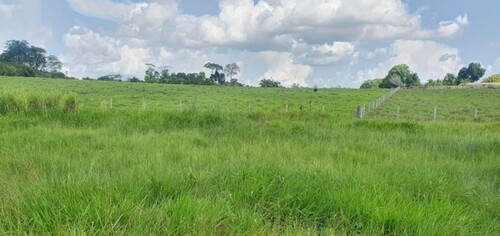 Bild 3 - Grundstück in Manaus