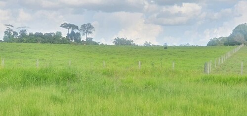 Bild 4 - Grundstück in Manaus zum Kaufen